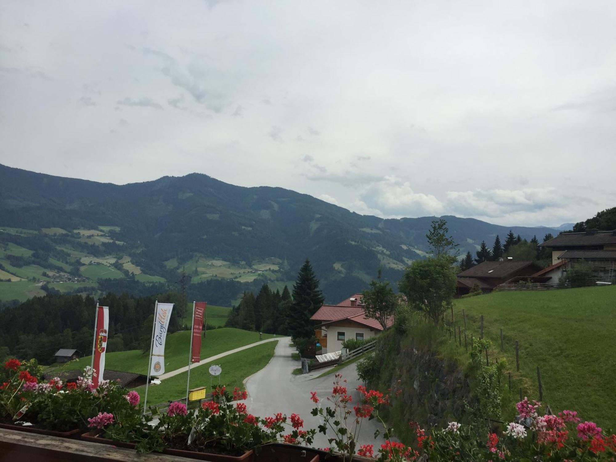 Hotel Und Alpen Apartments Mit Sauna - Buerglhoeh Bischofshofen Exterior foto